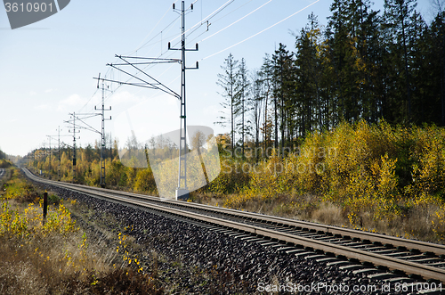 Image of Railroad tracks in a golden landscape