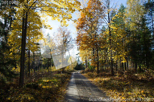 Image of Colorful gravel road 