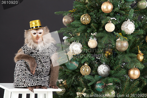 Image of Little Monkey And The New Year's Tree