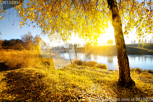 Image of Bright autumn at sunrise