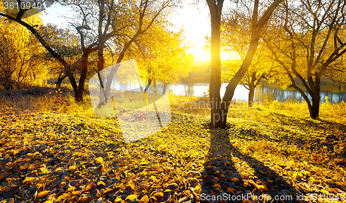 Image of Autumn beauty on river