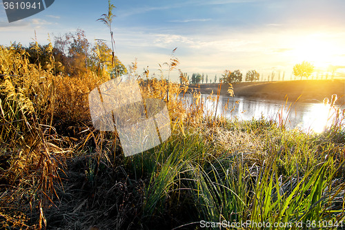 Image of Dry grass on river