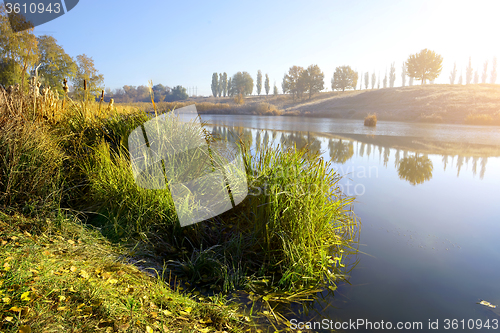 Image of Reeds on autumn river