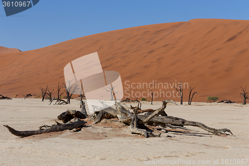 Image of beautiful sunrise landscape of hidden Dead Vlei