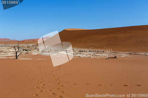 Image of beautiful sunrise landscape of hidden Dead Vlei