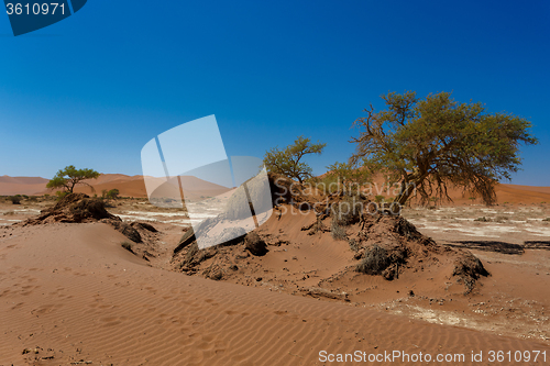 Image of beautiful sunrise landscape of hidden Dead Vlei