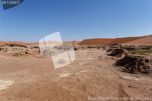 Image of beautiful sunrise landscape of hidden Dead Vlei