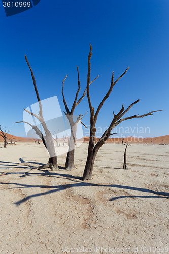 Image of beautiful sunrise landscape of hidden Dead Vlei