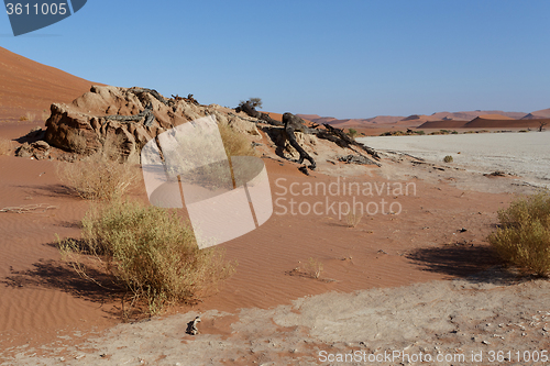 Image of beautiful sunrise landscape of hidden Dead Vlei