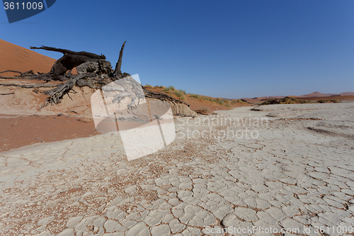 Image of beautiful sunrise landscape of hidden Dead Vlei