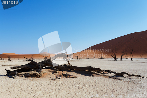 Image of beautiful sunrise landscape of hidden Dead Vlei