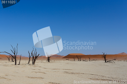 Image of beautiful sunrise landscape of hidden Dead Vlei