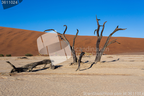 Image of beautiful landscape of Hidden Vlei in Namib desert panorama