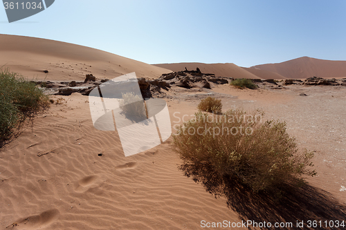 Image of beautiful sunrise landscape of hidden Dead Vlei