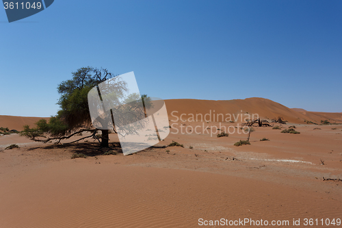 Image of beautiful sunrise landscape of hidden Dead Vlei