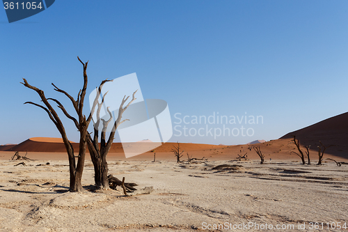 Image of beautiful landscape of Hidden Vlei in Namib desert panorama