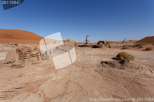 Image of beautiful sunrise landscape of hidden Dead Vlei