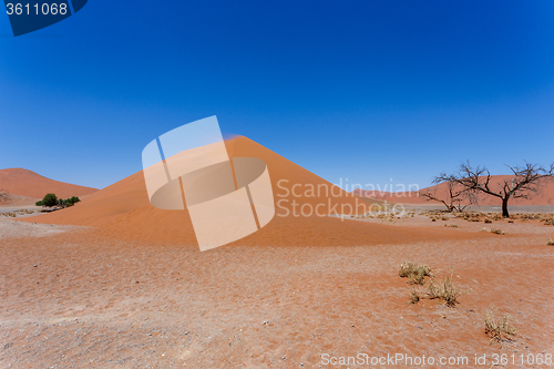 Image of Dune 45 in sossusvlei Namibia with dead tree