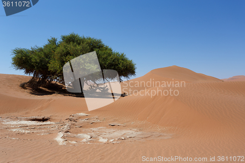 Image of beautiful sunrise landscape of hidden Dead Vlei