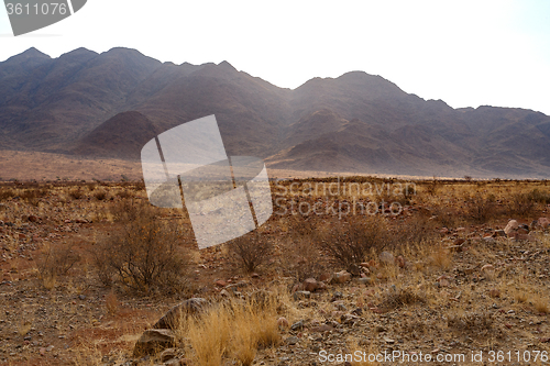 Image of fantrastic Namibia desert landscape