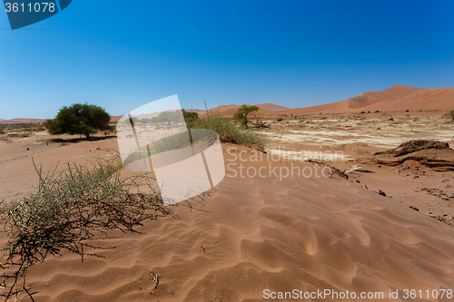 Image of beautiful sunrise landscape of hidden Dead Vlei