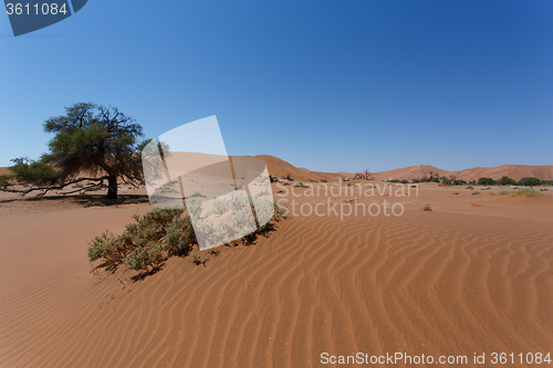 Image of beautiful sunrise landscape of hidden Dead Vlei