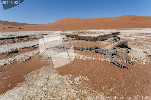 Image of beautiful sunrise landscape of hidden Dead Vlei