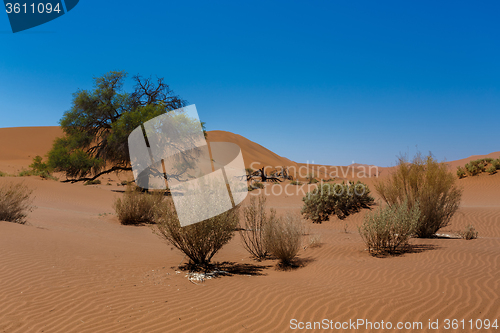 Image of beautiful sunrise landscape of hidden Dead Vlei