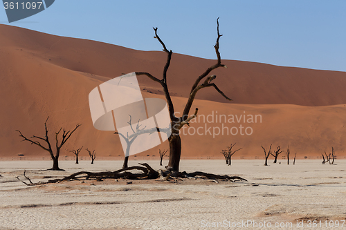 Image of beautiful sunrise landscape of hidden Dead Vlei