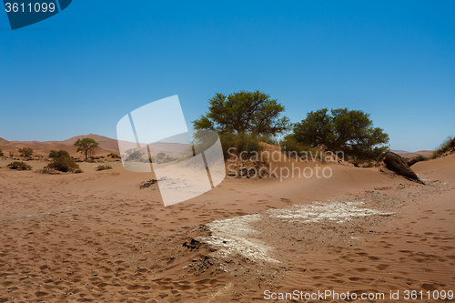 Image of beautiful sunrise landscape of hidden Dead Vlei