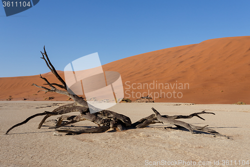 Image of beautiful landscape of Hidden Vlei in Namib desert panorama