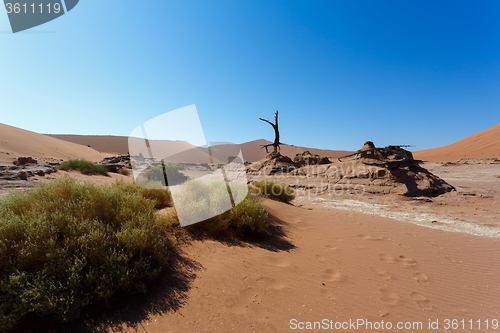 Image of beautiful sunrise landscape of hidden Dead Vlei