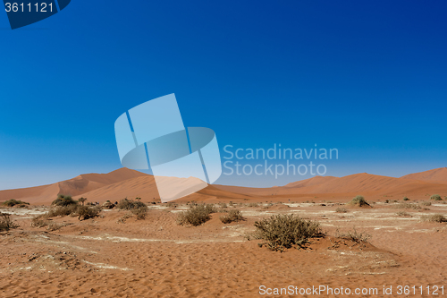 Image of beautiful sunrise landscape of hidden Dead Vlei