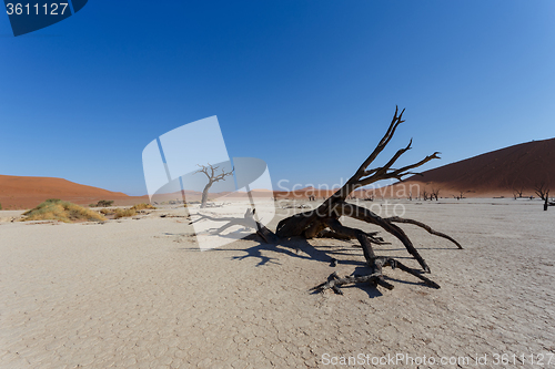 Image of beautiful sunrise landscape of hidden Dead Vlei