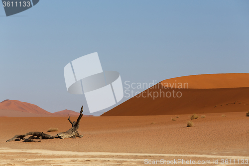 Image of beautiful sunrise landscape of hidden Dead Vlei