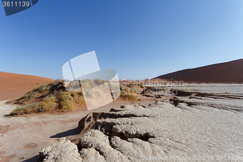 Image of beautiful sunrise landscape of hidden Dead Vlei