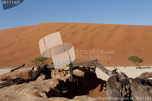 Image of beautiful landscape of Hidden Vlei in Namib desert panorama