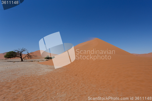 Image of Dune 45 in sossusvlei Namibia with dead tree