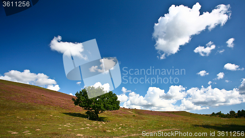 Image of Nature in south Sweden