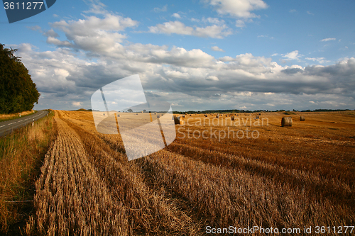 Image of Harvest