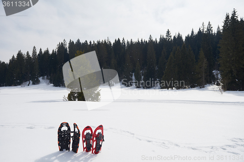 Image of winter snowshoes