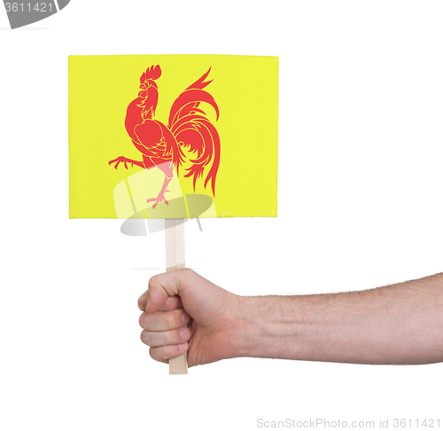 Image of Hand holding small card - Flag of Wallonia