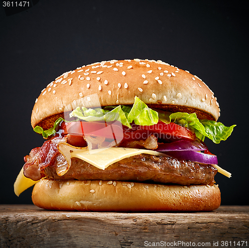 Image of fresh tasty burger