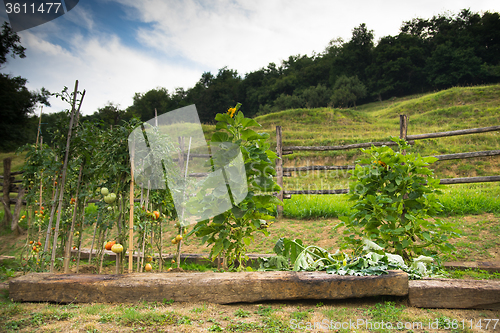 Image of Italy country side