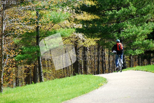 Image of Cycling in a park