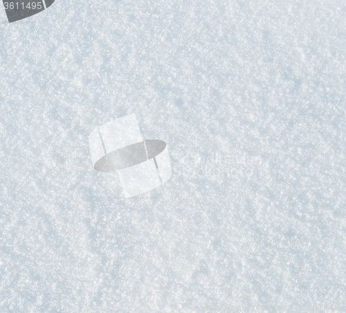 Image of fresh snow