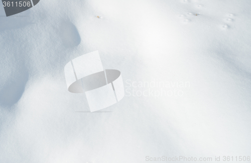 Image of fresh snow
