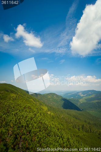 Image of Beautiful meadows on  mountains