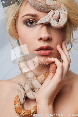 Image of Beautiful girl and the snake Boa constrictors, which wraps around her face