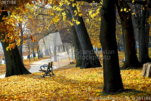 Image of Autumn park